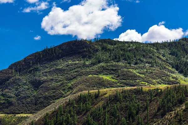 Altai mountain landscape. Altai Republic, South Siberia, Russia — Stock Photo, Image