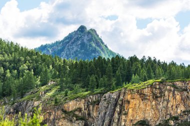 Taiga ile Altai dağ manzara. Altai Republic, Güney siber
