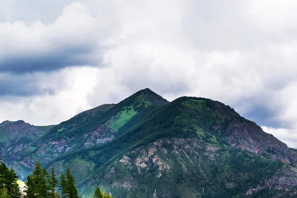 Altaï paysage de montagne. République de l'Altaï, Sibérie du Sud, Russie — Photo