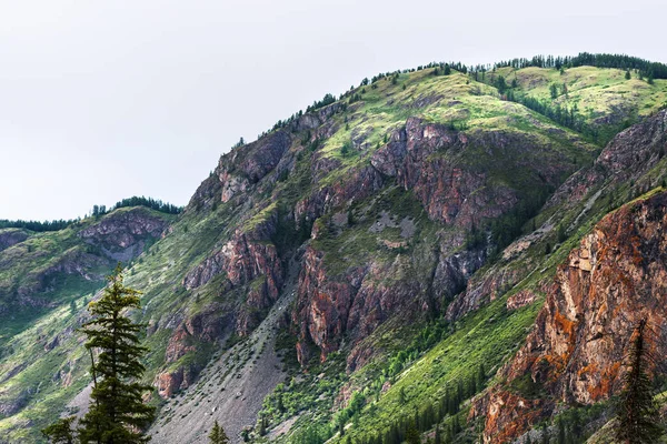 Altaigebirgslandschaft. Altairepublik, Südsibirien, Russland — Stockfoto