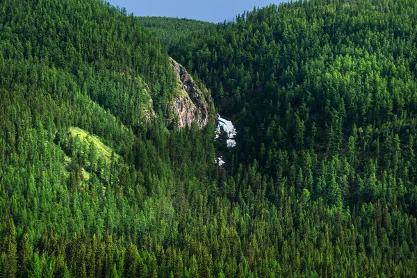 Altaj hegyi táj a Taiga. Altaj Köztársaság, Dél-Siber — Stock Fotó