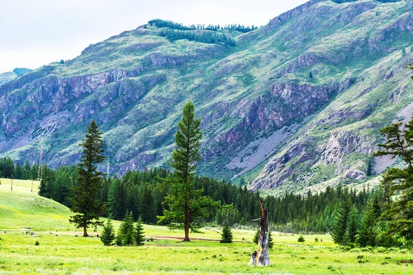 Altai Dağları. Altai Republic, Güney Siberia, Rusya — Stok fotoğraf