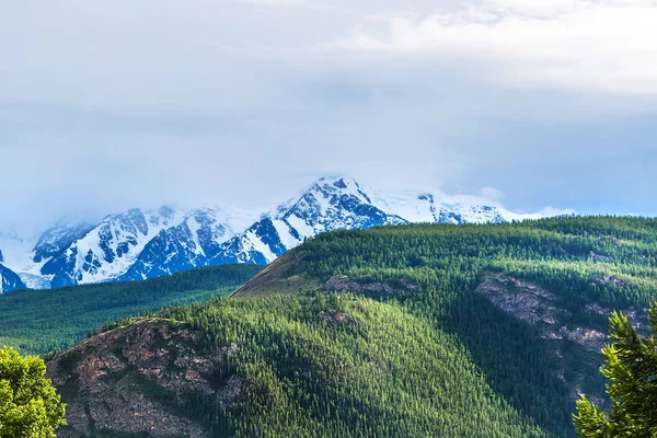 알타이 산맥. 알타이 공화국, 시베리아 남시베리아, 러시아 — 스톡 사진