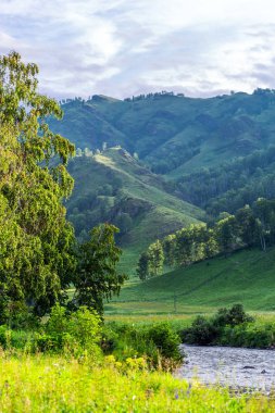 Bir Sema Nehri. Altay Cumhuriyeti, Rusya Federasyonu