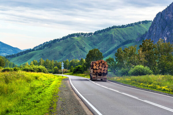 Timber truck with logs. Altai Republic, Russia
