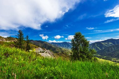 Chike - Taman dağ geçidi. Altay Cumhuriyeti, Rusya Federasyonu