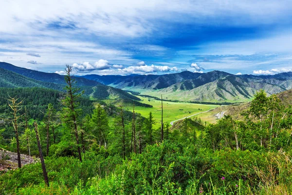 Чике - Таманский горный перевал. Республика Алтай, Россия — стоковое фото