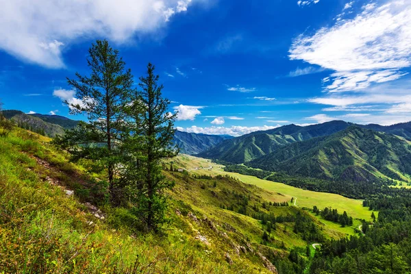 Chike - Taman dağ geçidi. Altay Cumhuriyeti, Rusya Federasyonu