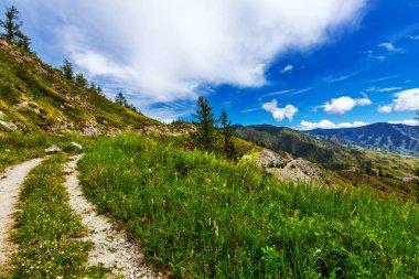 Chike - Taman dağ geçidi. Altay Cumhuriyeti, Rusya Federasyonu