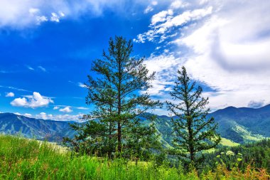 Chike - Taman dağ geçidi. Altay Cumhuriyeti, Rusya Federasyonu