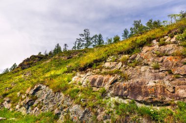 Chike - Taman dağ geçidi. Altay Cumhuriyeti, Rusya Federasyonu