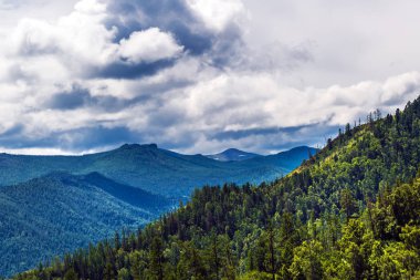 Chike - Taman dağ geçidi. Altay Cumhuriyeti, Rusya Federasyonu
