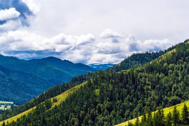 Chike - Taman dağ geçidi. Altay Cumhuriyeti, Rusya Federasyonu