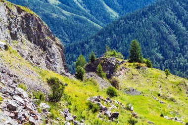 Chike - Taman dağ geçidi. Altay Cumhuriyeti, Rusya Federasyonu