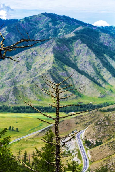 Chike - Paso de montaña de Taman. República de Altai, Rusia —  Fotos de Stock