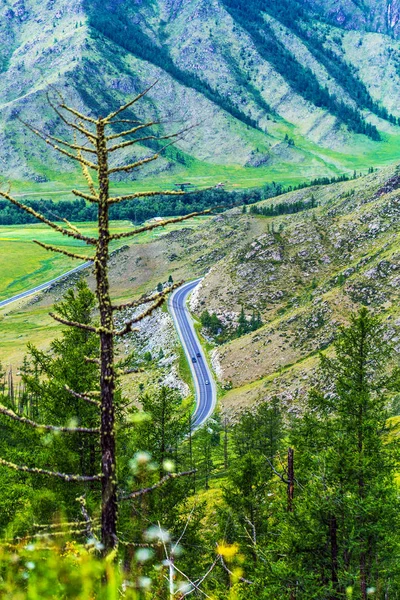 Chike - Taman mountain pass. Altai Republic, Russia — Stock Photo, Image