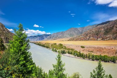 Katun Nehri. Gorny Altay, Rusya Federasyonu