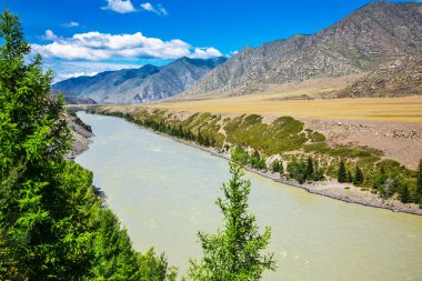 Katun Nehri. Gorny Altay, Rusya Federasyonu