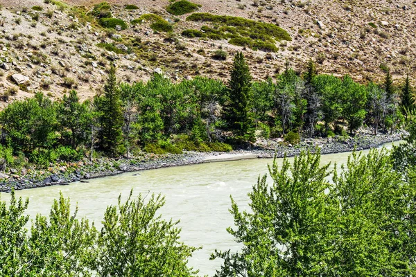 O Rio Katun. Gorny Altai, Rússia — Fotografia de Stock