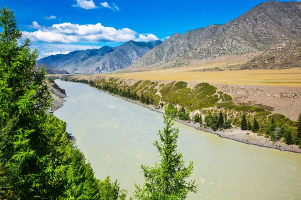 The River Katun. Gorny Altai, Russia Stock Image