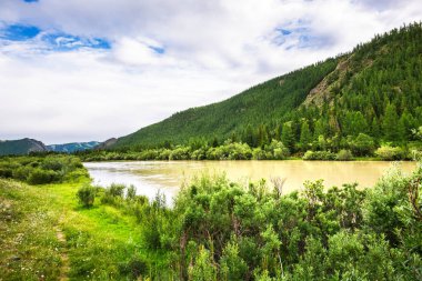 Chuya Nehri. Altai Republic, Rusya Federasyonu