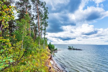 Ob denizinde dinlenin. Berdsk, Novosibirsk region, Rusya Federasyonu