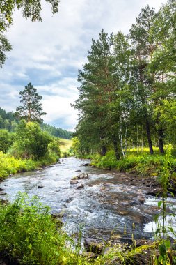 Altay Nehri Kuyum. Gorny Altay, Sibirya, Rusya Federasyonu