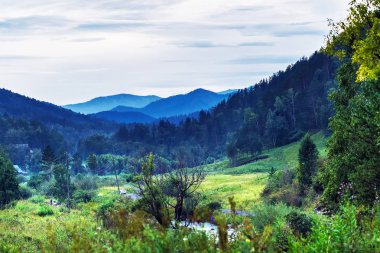 Altay Nehri Kuyum. Gorny Altay, Sibirya, Rusya Federasyonu