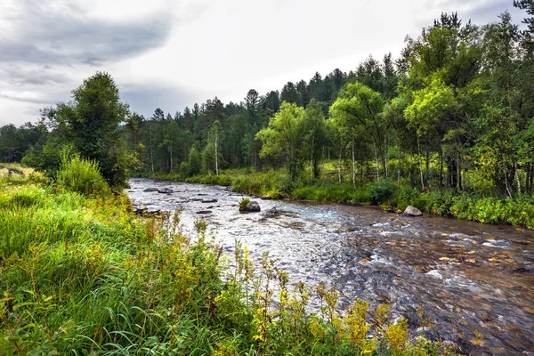 Altaj folyó Kuyum. Gorny Altai, Szibéria, Oroszország — Stock Fotó