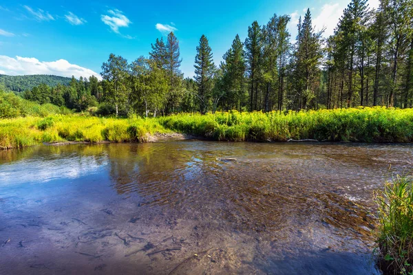 Rio Altai Kuyum. Gorny Altai, Sibéria, Rússia — Fotografia de Stock