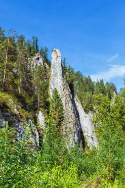 Kuyum Nehri'ndeki beyaz kayalıklar. Gorny Altay, Sibirya, Russi