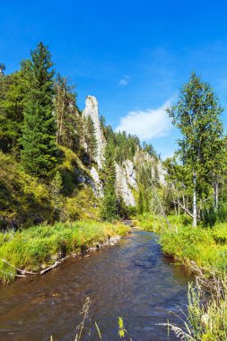 Kuyum Nehri'ndeki beyaz kayalıklar. Gorny Altay, Sibirya, Russi