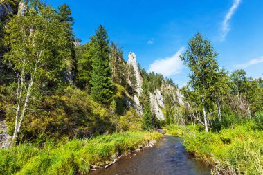 Kuyum Nehri'ndeki beyaz kayalıklar. Gorny Altay, Sibirya, Russi