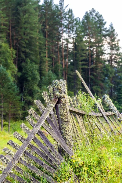 Old fence. Gorny Altai, Siberia, Russia