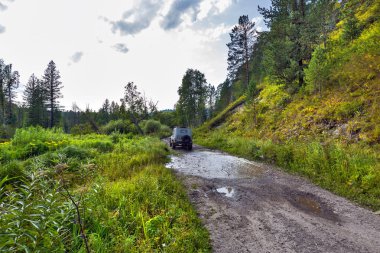 Araba Uaz-31512 taiga arasında. Gorny Altay, Sibirya, Rusya Federasyonu