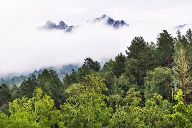 Dağlarda sis. Gorny Altay, Sibirya, Rusya Federasyonu