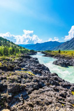Hızlı katun nehri. Gorny Altay, Sibirya, Rusya Federasyonu
