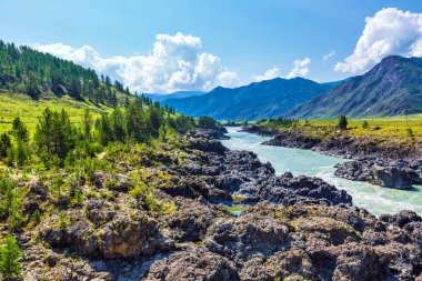 Hızlı katun nehri. Gorny Altay, Sibirya, Rusya Federasyonu