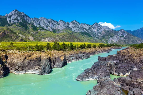 Hızlı katun nehri. Gorny Altay, Sibirya, Rusya Federasyonu