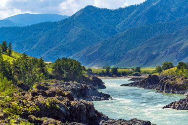Hızlı katun nehri. Gorny Altay, Sibirya, Rusya Federasyonu
