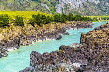 Hızlı katun nehri. Gorny Altay, Sibirya, Rusya Federasyonu