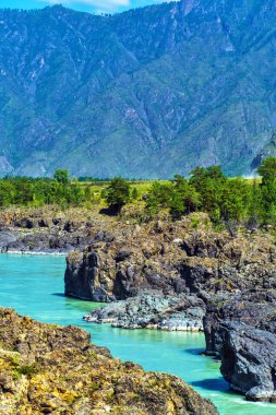 Hızlı katun nehri. Gorny Altay, Sibirya, Rusya Federasyonu