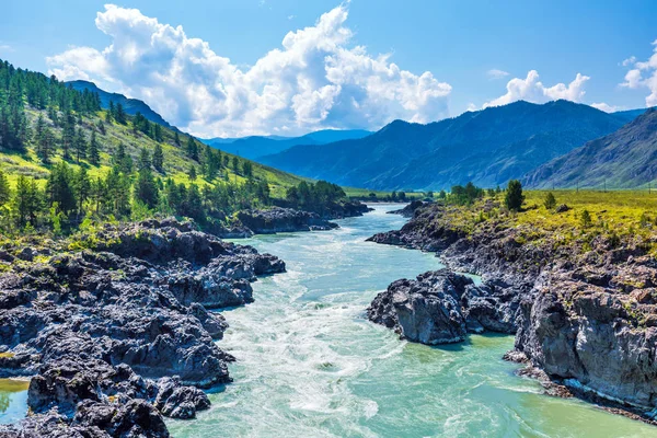 Hızlı katun nehri. Gorny Altay, Sibirya, Rusya Federasyonu