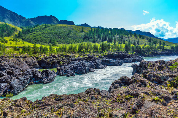 Katun river with rapids. Gorny Altai, Siberia, Russia