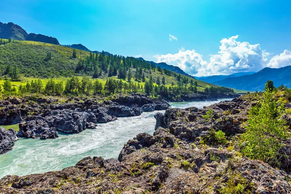 Hızlı katun nehri. Gorny Altay, Sibirya, Rusya Federasyonu