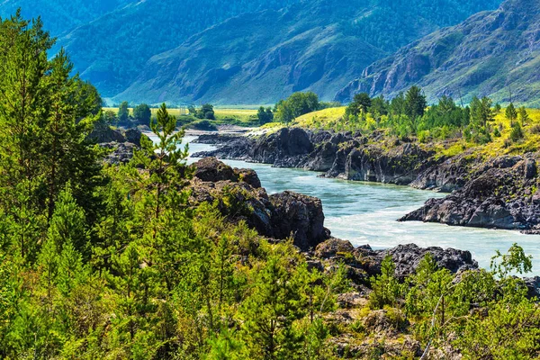 Katun river with rapids. Gorny Altai, Siberia, Russia — Stock Photo, Image