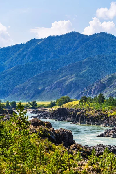 Rio Katun com corredeiras. Gorny Altai, Sibéria, Rússia — Fotografia de Stock
