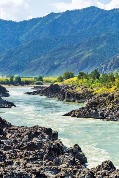 Hızlı katun nehri. Gorny Altay, Sibirya, Rusya Federasyonu