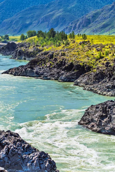 Hızlı katun nehri. Gorny Altay, Sibirya, Rusya Federasyonu