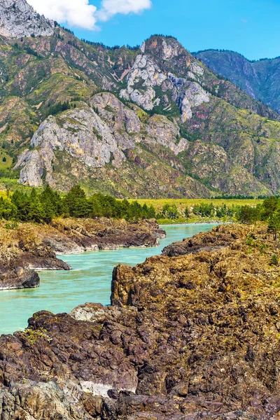 Hızlı katun nehri. Gorny Altay, Sibirya, Rusya Federasyonu